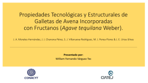 Propiedades Tecnológicas y Estructurales de Galletas de Avena incorporadas con Fructanos de Agave Tequilana Weber