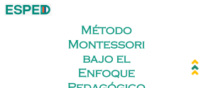 Etapas del desarrollo Montessori
