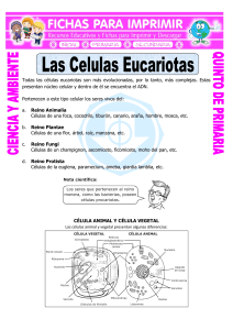 Ficha-Las-Celulas-Eucariotas-para-Quinto-de-Primaria