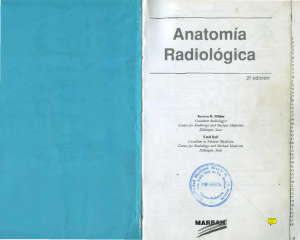 Anatomia Radiologica