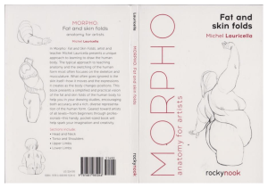 michel-lauricella-morpho-fat-and-skin-folds