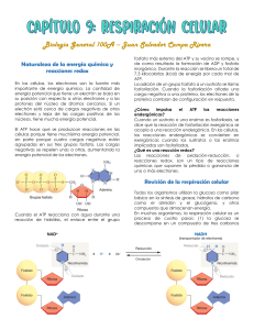 Respiración Celular y Fermentación