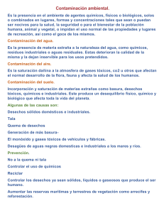 Contaminación ambiental