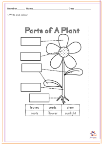 parts of a plant