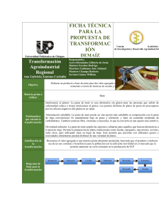 FICHA TECNICA PROPUESTA DE TRANSFORMACIÓN (1)-1 (1)