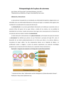 Fisiopatología+de+la+placa+de+ateroma