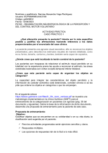 Rehabilitación neuropsicológica de las funciones atencionales y ejecutivas