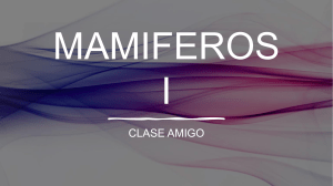 MAMIFEROS I