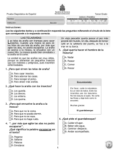 Prueba Diagnóstica 3º Español (2011)