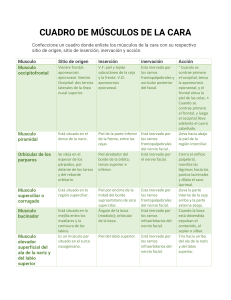 CUADRO DE MÚSCULOS DE LA CARA