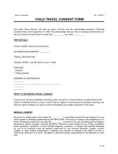 Child Travel Consent Form