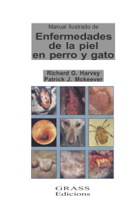 Harvey Richard - Enfermedades De La Piel En Perro Y Gato