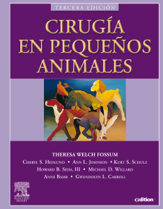 Cirugía de pequeños animales. Fossum. 3ª ed.