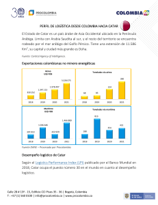 perfil logistico de catar 0 (8)