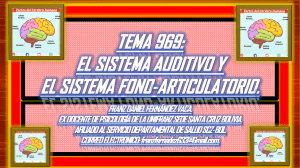 TEMA 969. EL SISTEMA AUDITIVO Y EL SISTEMA FONO-ARTICULATORIO. 20.06.23. 111222222