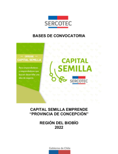 Bases-SEMILLA-EMPRENDE-Provincia-Concepción-2022-V°B°