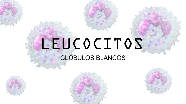 LEUCOCITOS