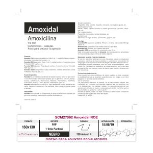 Prospecto-Amoxidal-2