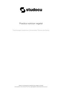 practica-nutricion-vegetal