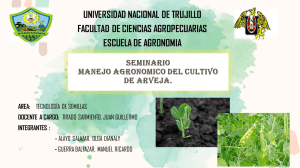 Manejo Agron&oacute;mico del Cultivo de Arveja: Gu&iacute;a Completa