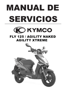 429695783-manual-de-servicio-de-agility-125-fly-xtreem