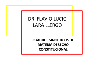 TRABAJO DERECHO CONSTITUCIONAL FLAVIO JUNIO 2023