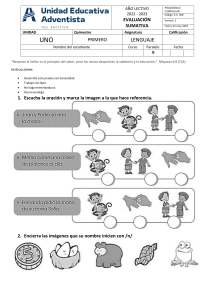 Evaluaciones 1p 1q 2do B 2022-20223