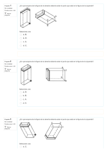 PSICOTECNICO GIROS DE CUBOS