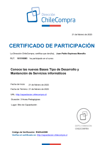 Bases Tipo de Desarrollo y Servicios Informaticos