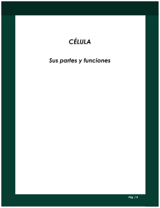 Célula-partes y sus funciones