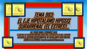 TEMA 983. EL EJE HIPOTALAMO HIPOFISIS SUPRARRRENAL.