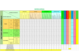 matriz