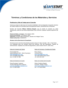 Consulting services terms and conditions Mina Pucamarca - MINSUR