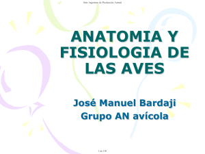 ANATOMIA Y FISIOLOGIA AVES.pdf · versión 1