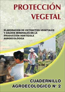 Elaboracion de extractos vegetales y caldos