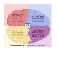 estimula-los-quimicos