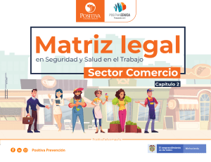 matriz-legal-sst-comercio-capitulo2