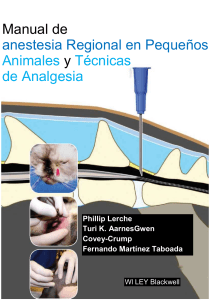 Manual de anestesia regional en pequeños animales y técnicas de analgesia.