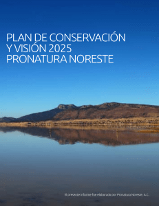 Plan de Conservacion y Vision 2025 Prona