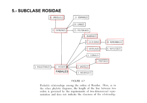 2-5+Rosidae