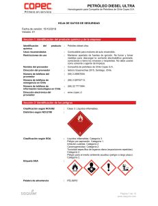 Petroleo Diesel Ultra manual 2023 (1)