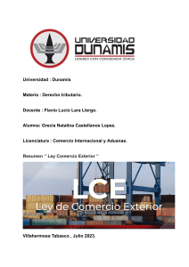 Ley Comercio Exterior- NATALINA CASTELLANOS. 
