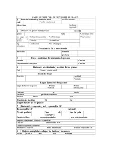 Carta-Porte-Formato (1)