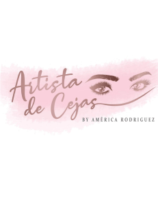 Curso Artista De Cejas Pdf Gratis America Rodriguez