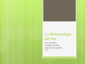 scribd.vdownloaders.com la-biotecnologia-del-pan