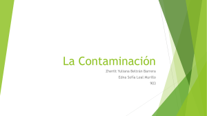 La Contaminación (1) (1)