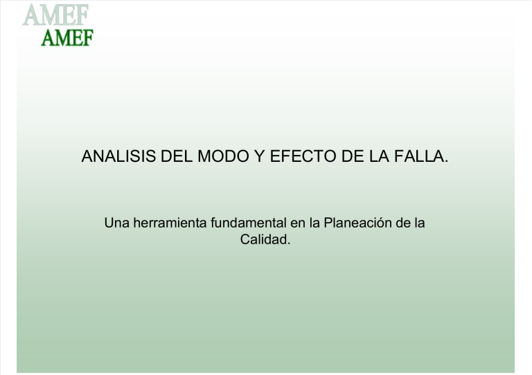 amef-de-proceso