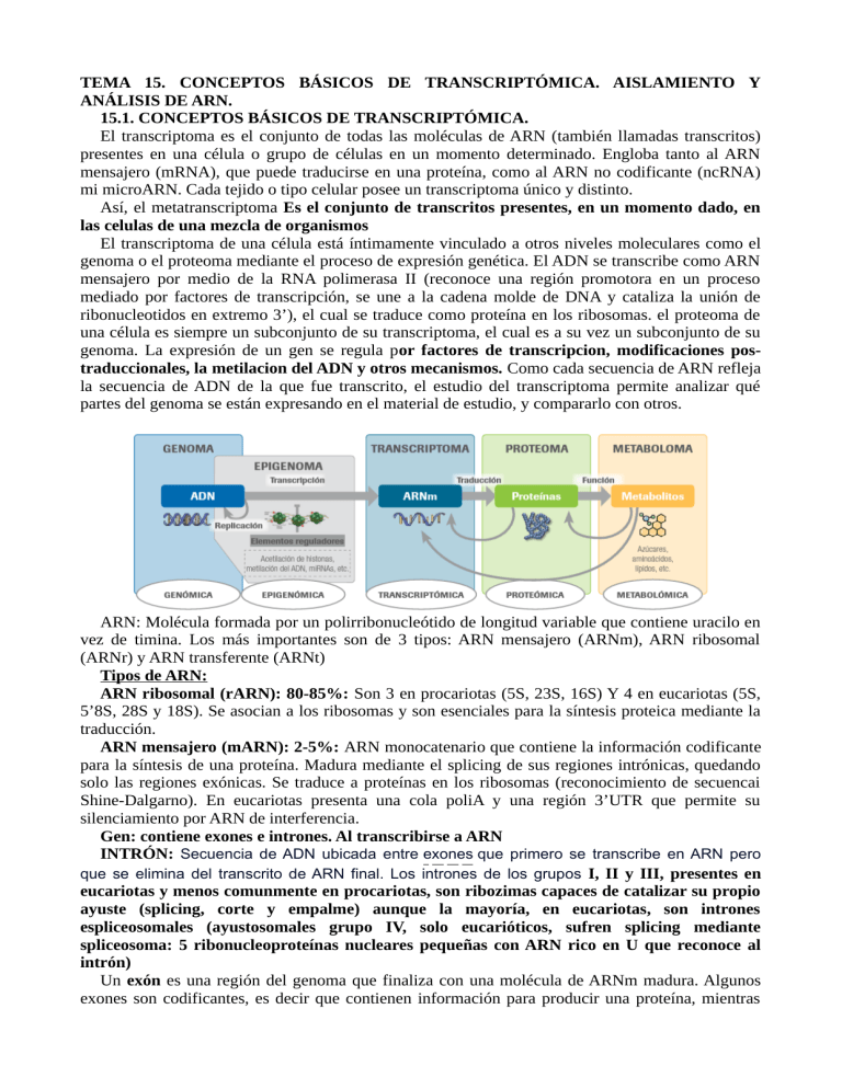 Tema 15. Conceptos básicos de transcriptómica. Aislamiento y análisis ...