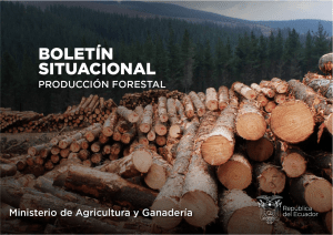 boletin situacional forestal 2022