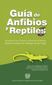 Guia anfibios y reptiles